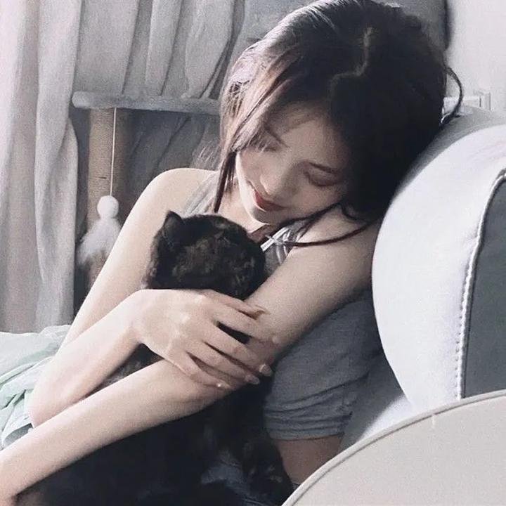 威灵顿之线 海报